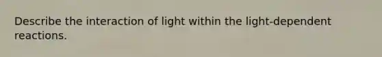 Describe the interaction of light within the light-dependent reactions.