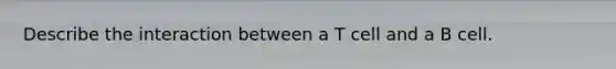 Describe the interaction between a T cell and a B cell.