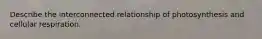 Describe the interconnected relationship of photosynthesis and cellular respiration.