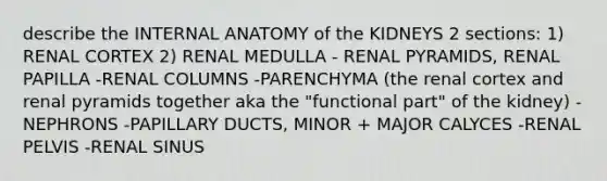 describe the INTERNAL ANATOMY of the KIDNEYS 2 sections: 1) RENAL CORTEX 2) RENAL MEDULLA - RENAL PYRAMIDS, RENAL PAPILLA -RENAL COLUMNS -PARENCHYMA (the renal cortex and renal pyramids together aka the "functional part" of the kidney) -NEPHRONS -PAPILLARY DUCTS, MINOR + MAJOR CALYCES -RENAL PELVIS -RENAL SINUS