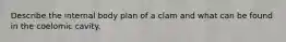 Describe the internal body plan of a clam and what can be found in the coelomic cavity.