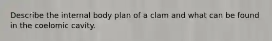 Describe the internal body plan of a clam and what can be found in the coelomic cavity.