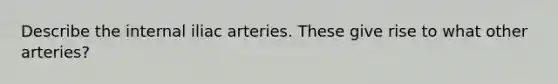 Describe the internal iliac arteries. These give rise to what other arteries?