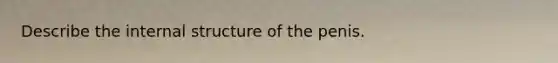 Describe the internal structure of the penis.