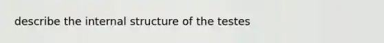 describe the internal structure of the testes