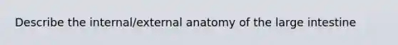 Describe the internal/external anatomy of the <a href='https://www.questionai.com/knowledge/kGQjby07OK-large-intestine' class='anchor-knowledge'>large intestine</a>