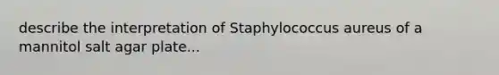 describe the interpretation of Staphylococcus aureus of a mannitol salt agar plate...