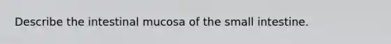 Describe the intestinal mucosa of the small intestine.