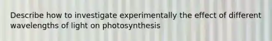 Describe how to investigate experimentally the effect of different wavelengths of light on photosynthesis