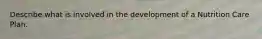 Describe what is involved in the development of a Nutrition Care Plan.