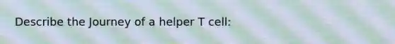 Describe the Journey of a helper T cell: