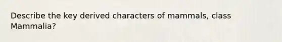 Describe the key derived characters of mammals, class Mammalia?