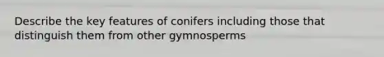 Describe the key features of conifers including those that distinguish them from other gymnosperms