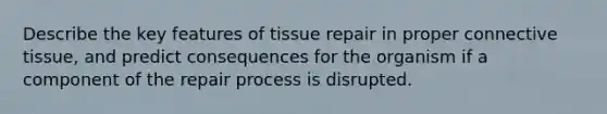 Describe the key features of tissue repair in proper connective tissue, and predict consequences for the organism if a component of the repair process is disrupted.