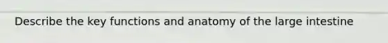 Describe the key functions and anatomy of the large intestine