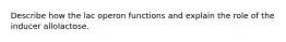 Describe how the lac operon functions and explain the role of the inducer allolactose.