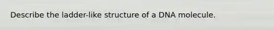 Describe the ladder-like structure of a DNA molecule.