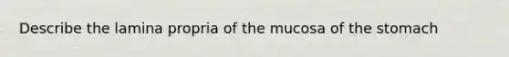 Describe the lamina propria of the mucosa of the stomach