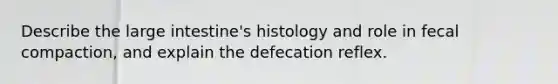 Describe the <a href='https://www.questionai.com/knowledge/kGQjby07OK-large-intestine' class='anchor-knowledge'>large intestine</a>'s histology and role in fecal compaction, and explain the defecation reflex.