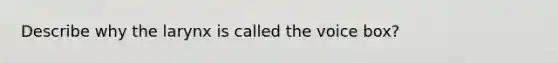 Describe why the larynx is called the voice box?