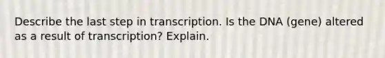 Describe the last step in transcription. Is the DNA (gene) altered as a result of transcription? Explain.