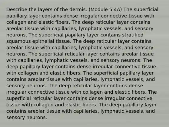 Describe the layers of the dermis. (Module 5.4A) The superficial papillary layer contains dense irregular connective tissue with collagen and elastic fibers. The deep reticular layer contains areolar tissue with capillaries, lymphatic vessels, and sensory neurons. The superficial papillary layer contains stratified squamous epithelial tissue. The deep reticular layer contains areolar tissue with capillaries, lymphatic vessels, and sensory neurons. The superficial reticular layer contains areolar tissue with capillaries, lymphatic vessels, and sensory neurons. The deep papillary layer contains dense irregular connective tissue with collagen and elastic fibers. The superficial papillary layer contains areolar tissue with capillaries, lymphatic vessels, and sensory neurons. The deep reticular layer contains dense irregular connective tissue with collagen and elastic fibers. The superficial reticular layer contains dense irregular connective tissue with collagen and elastic fibers. The deep papillary layer contains areolar tissue with capillaries, lymphatic vessels, and sensory neurons.