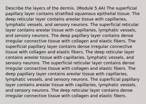 Describe the layers of the dermis. (Module 5.4A) The superficial papillary layer contains stratified squamous <a href='https://www.questionai.com/knowledge/k7dms5lrVY-epithelial-tissue' class='anchor-knowledge'>epithelial tissue</a>. The deep reticular layer contains areolar tissue with capillaries, lymphatic vessels, and sensory neurons. The superficial reticular layer contains areolar tissue with capillaries, lymphatic vessels, and sensory neurons. The deep papillary layer contains dense irregular <a href='https://www.questionai.com/knowledge/kYDr0DHyc8-connective-tissue' class='anchor-knowledge'>connective tissue</a> with collagen and elastic fibers. The superficial papillary layer contains dense irregular connective tissue with collagen and elastic fibers. The deep reticular layer contains areolar tissue with capillaries, lymphatic vessels, and sensory neurons. The superficial reticular layer contains dense irregular connective tissue with collagen and elastic fibers. The deep papillary layer contains areolar tissue with capillaries, lymphatic vessels, and sensory neurons. The superficial papillary layer contains areolar tissue with capillaries, lymphatic vessels, and sensory neurons. The deep reticular layer contains dense irregular connective tissue with collagen and elastic fibers.