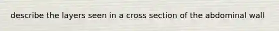 describe the layers seen in a cross section of the abdominal wall