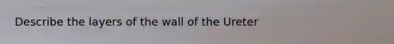 Describe the layers of the wall of the Ureter