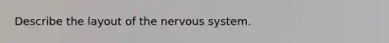 Describe the layout of the nervous system.