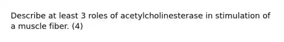 Describe at least 3 roles of acetylcholinesterase in stimulation of a muscle fiber. (4)