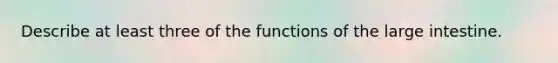 Describe at least three of the functions of the large intestine.