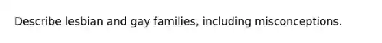 Describe lesbian and gay families, including misconceptions.