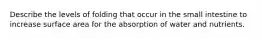 Describe the levels of folding that occur in the small intestine to increase surface area for the absorption of water and nutrients.
