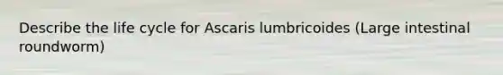 Describe the life cycle for Ascaris lumbricoides (Large intestinal roundworm)