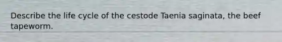 Describe the life cycle of the cestode Taenia saginata, the beef tapeworm.
