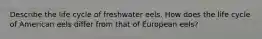 Describe the life cycle of freshwater eels. How does the life cycle of American eels differ from that of European eels?