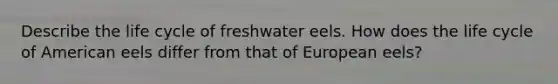 Describe the life cycle of freshwater eels. How does the life cycle of American eels differ from that of European eels?