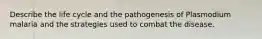 Describe the life cycle and the pathogenesis of Plasmodium malaria and the strategies used to combat the disease.