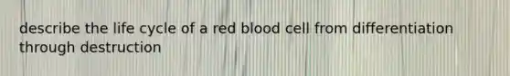 describe the life cycle of a red blood cell from differentiation through destruction