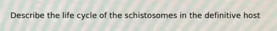 Describe the life cycle of the schistosomes in the definitive host