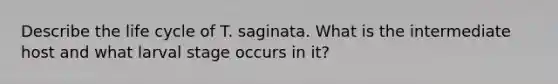 Describe the life cycle of T. saginata. What is the intermediate host and what larval stage occurs in it?