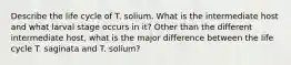 Describe the life cycle of T. solium. What is the intermediate host and what larval stage occurs in it? Other than the different intermediate host, what is the major difference between the life cycle T. saginata and T. solium?