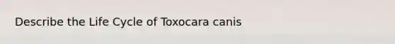 Describe the Life Cycle of Toxocara canis