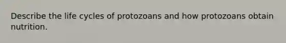 Describe the life cycles of protozoans and how protozoans obtain nutrition.