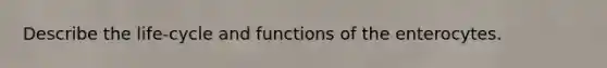 Describe the life-cycle and functions of the enterocytes.