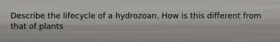 Describe the lifecycle of a hydrozoan. How is this different from that of plants