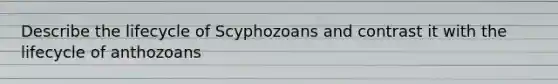 Describe the lifecycle of Scyphozoans and contrast it with the lifecycle of anthozoans