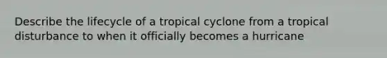 Describe the lifecycle of a tropical cyclone from a tropical disturbance to when it officially becomes a hurricane