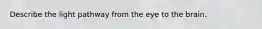 Describe the light pathway from the eye to the brain.